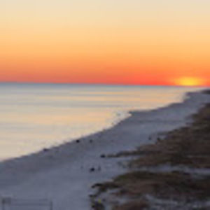 Meet your Posher, Bill